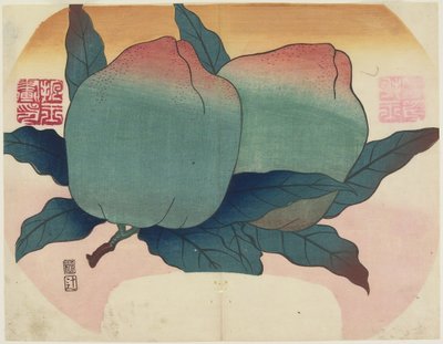 Frutta sulla vite da Hogyoku